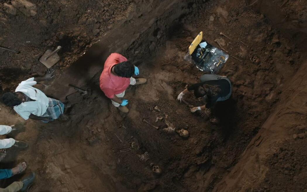 სასამართლო ექსპერტი  ქართულად -  Forensic