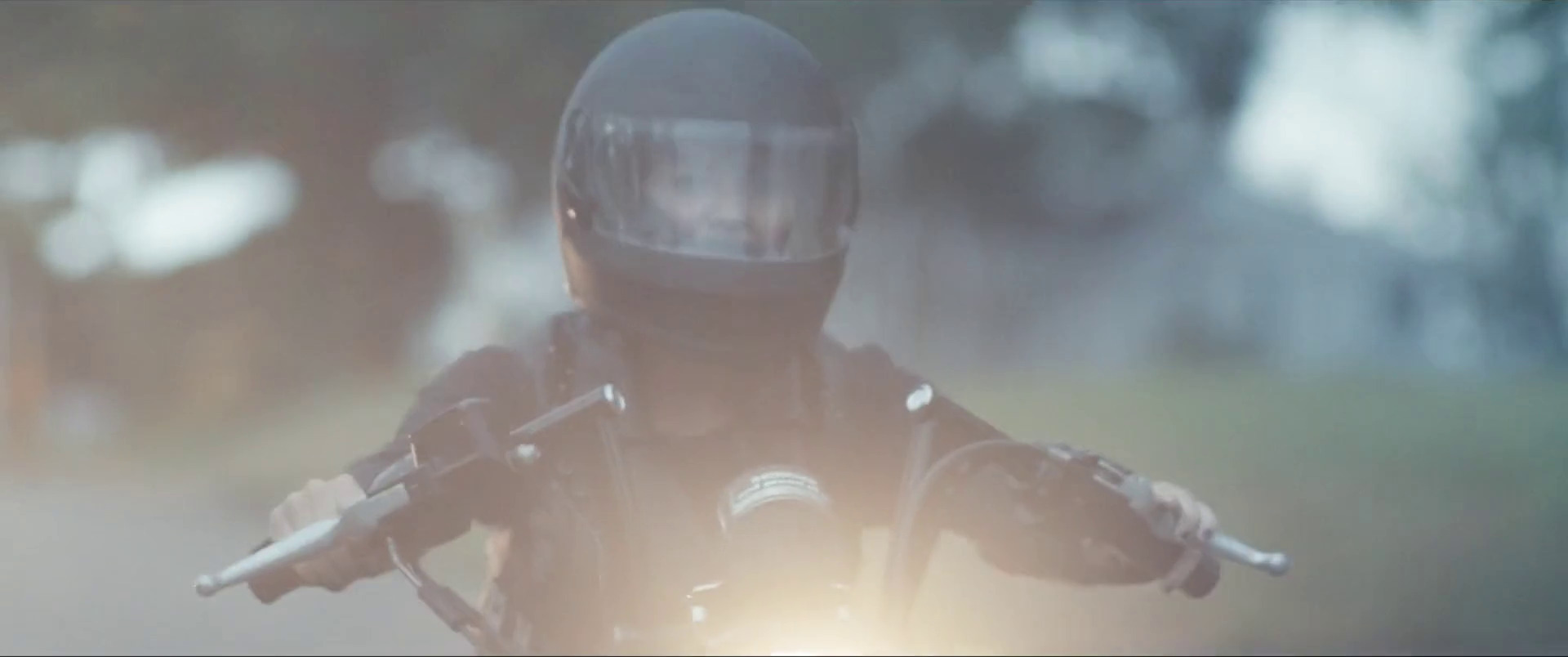 შურისძიების გზა  ქართულად -  Revenge Ride