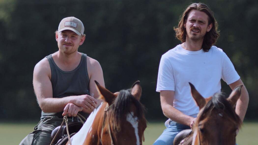 და ძმის გული.  ქართულად -  Bruder Schwester Herz