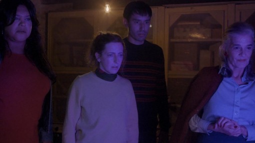 მოკლე ამბავი მწვანე პლანეტიდან  ქართულად -  Brief Story from the Green Planet