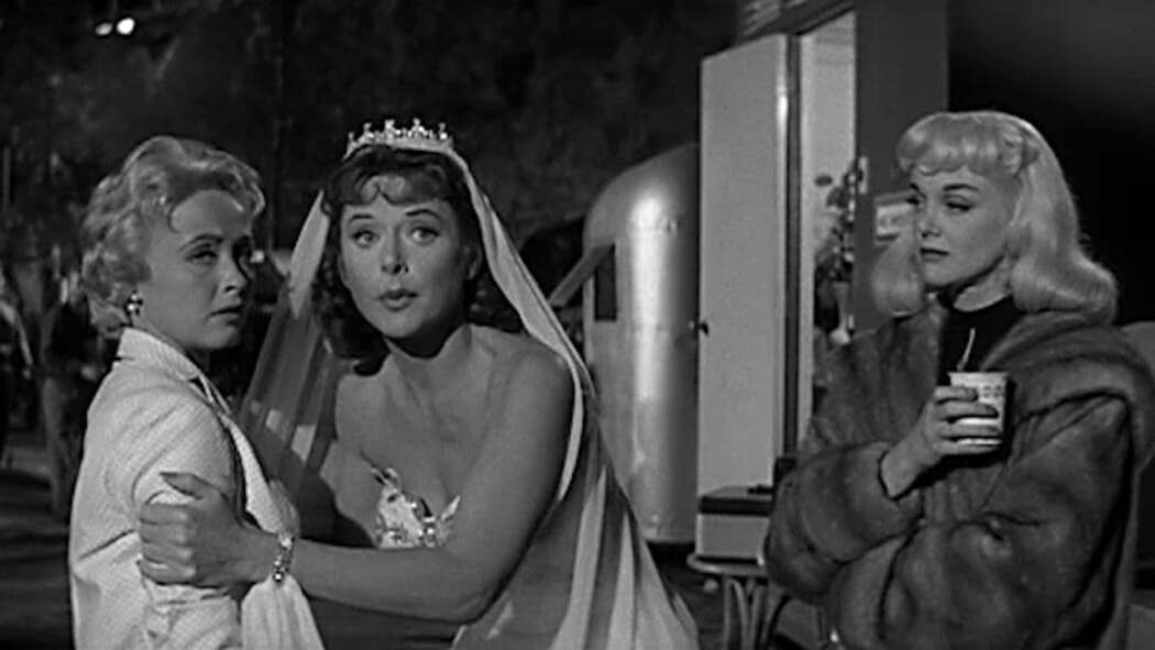 მდედრი ცხოველი  ქართულად -  The Female Animal