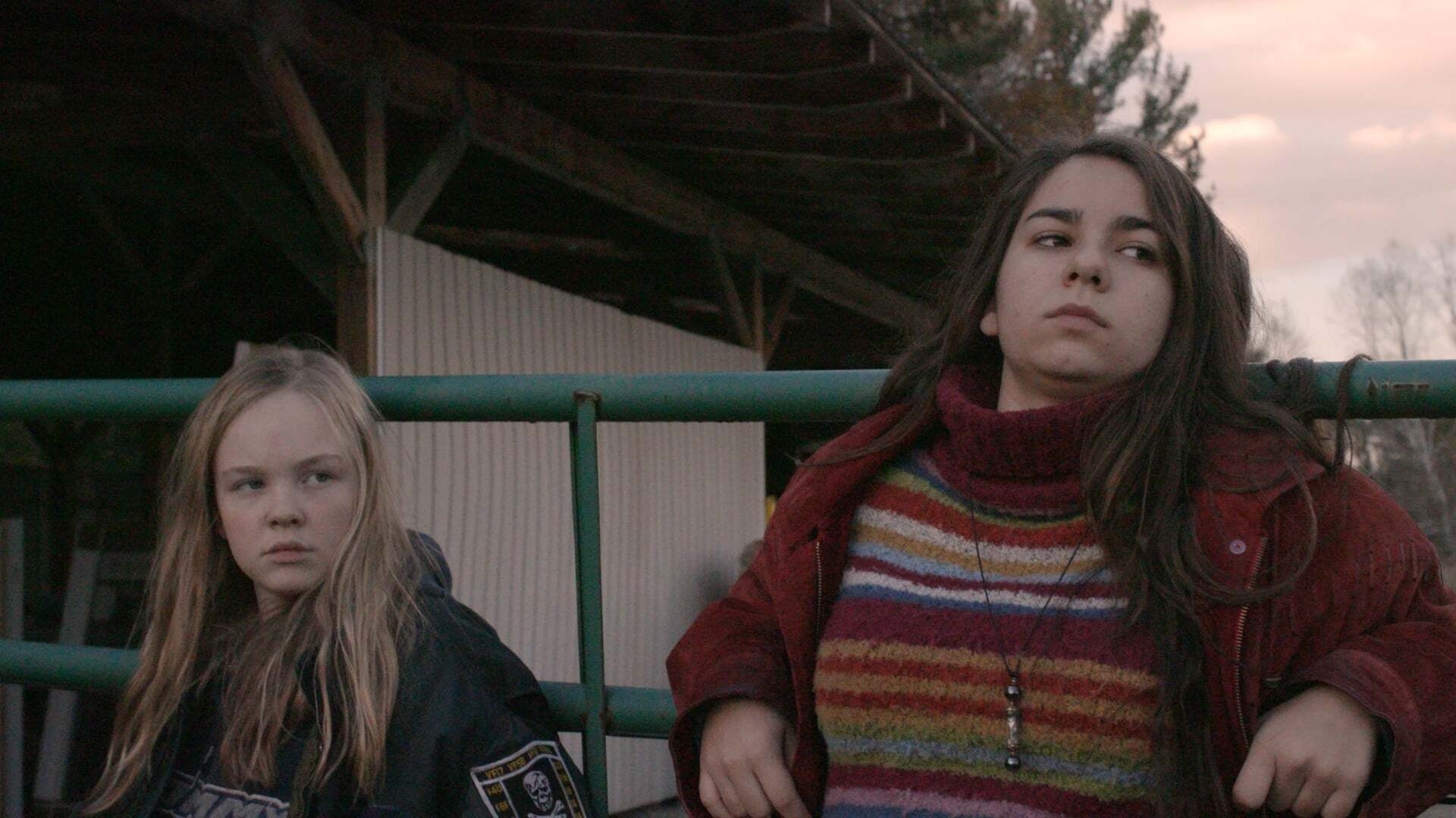 შეშლილი ძაღლი ლებინი  ქართულად -  Mad Dog Labine