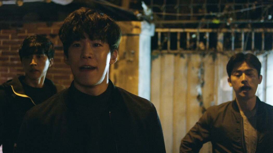 კბენია ბუზი  ქართულად -  Biting Fly