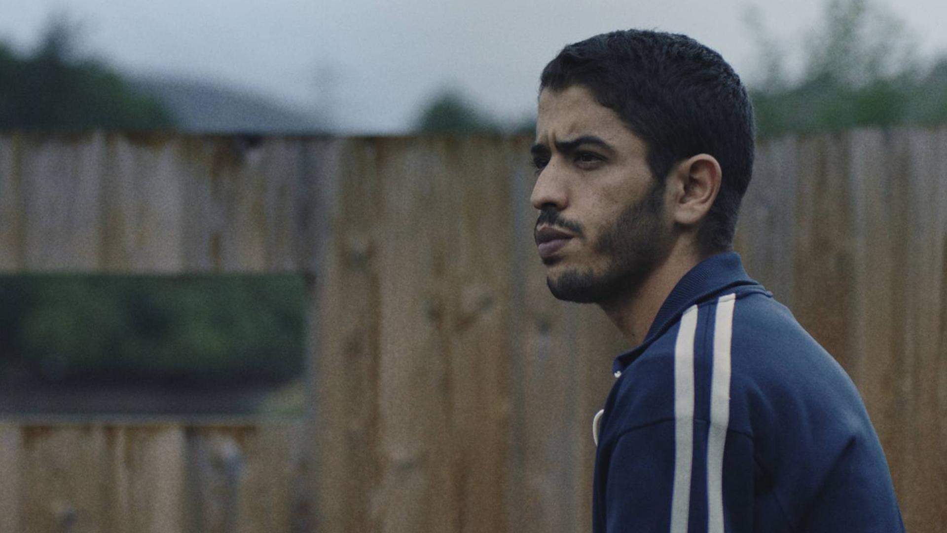 ირმები  ქართულად -  The Deer