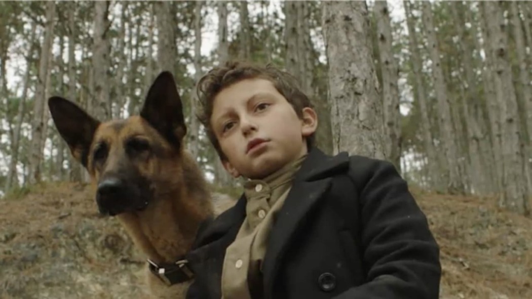 Shepherd: The Story of a Jewish Dog