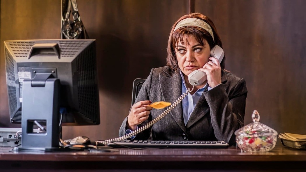 მდივანი ამალია  ქართულად -  Amalia the Secretary