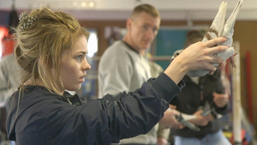 ინტრიგანი გოგონები  ქართულად -  Scheme Birds