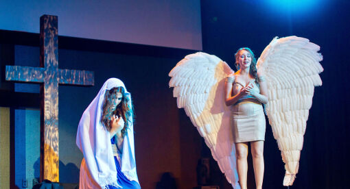 თინეიჯერების მიუზიკლი  ქართულად -  Teen Musical - The Movie