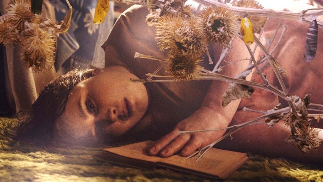 ფისი  ქართულად -  Harpiks