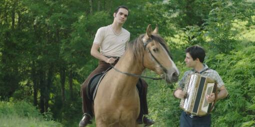 აკორდეონისტის ვაჟი  ქართულად -  The Accordionists Son