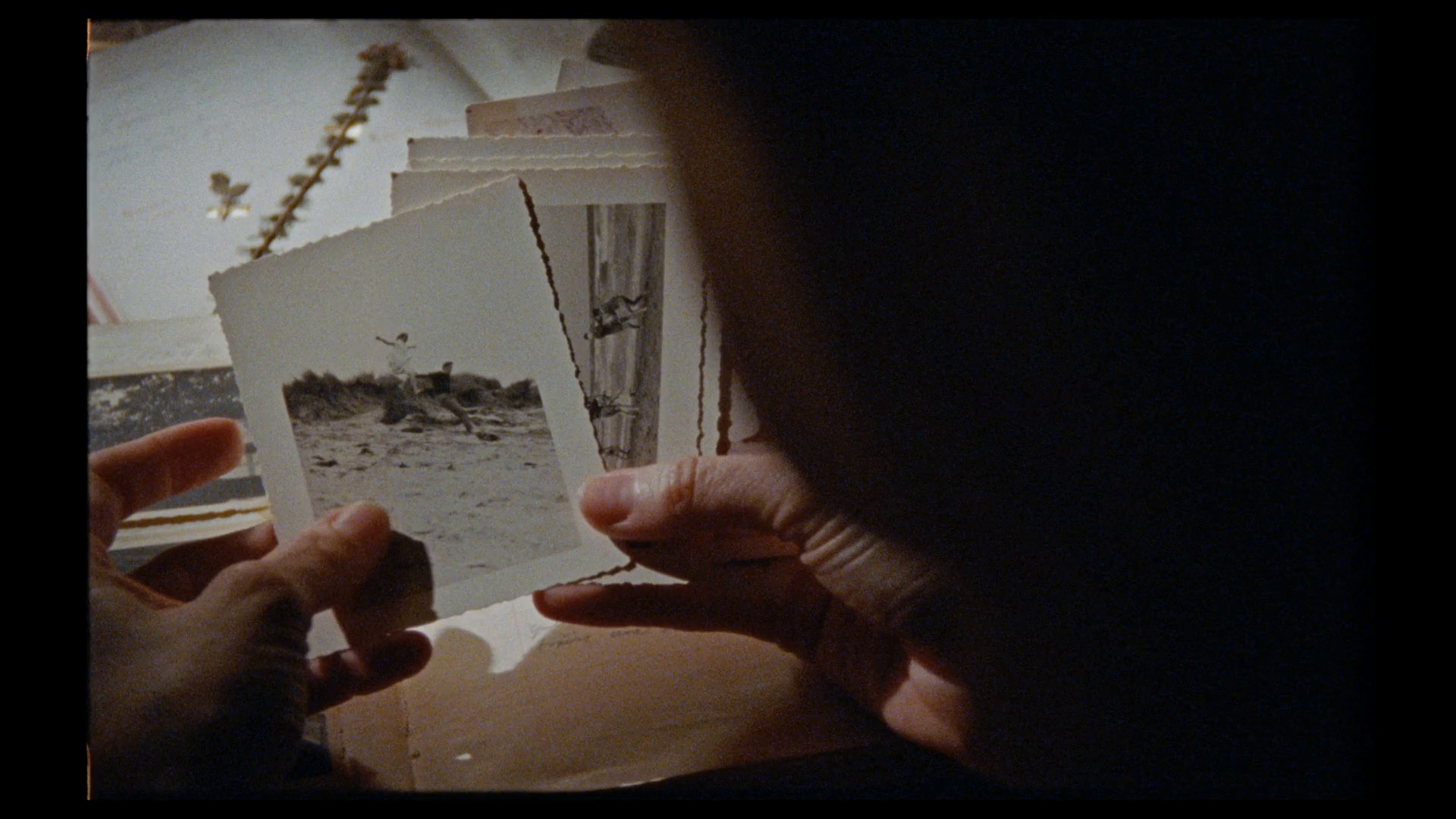 ვილა ემპენი  ქართულად -  Villa Empain