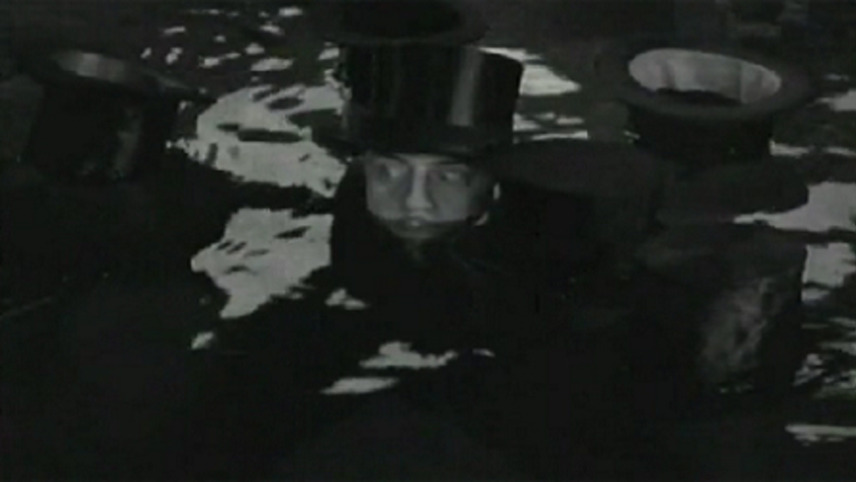 შეიყვარე გიჟი  ქართულად -  Love Crazy