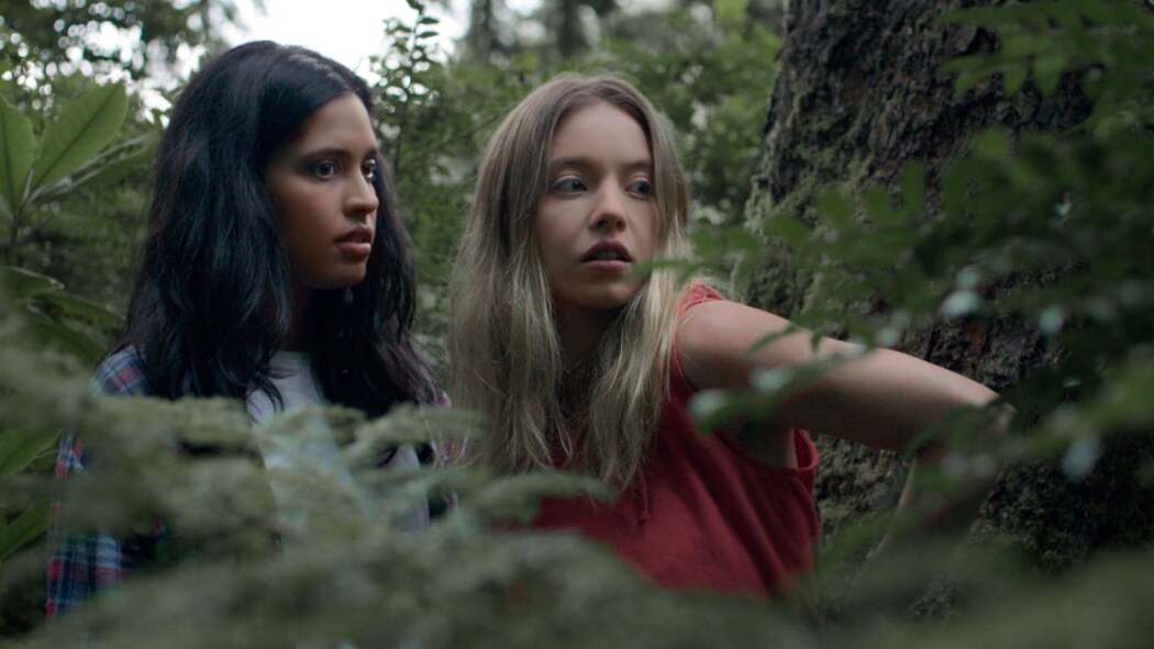 კლემენტინი  ქართულად -  Clementine