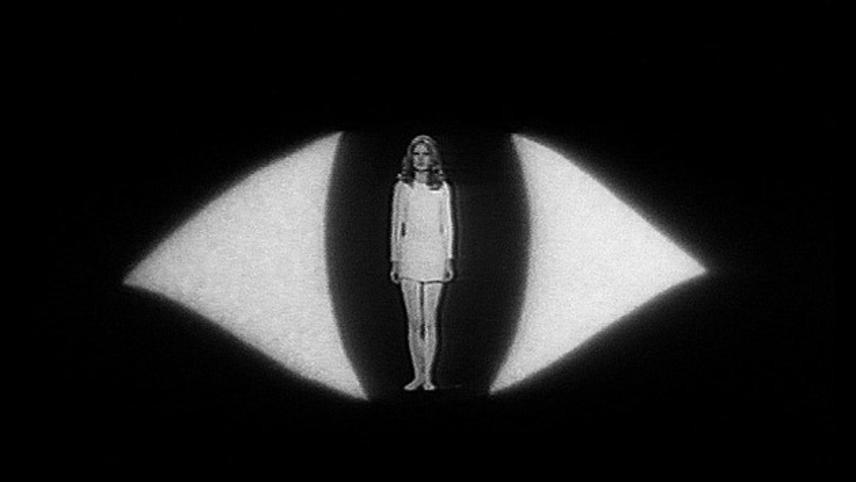 ჩვენც გვსურს ვარდები  ქართულად -  We Want Roses Too