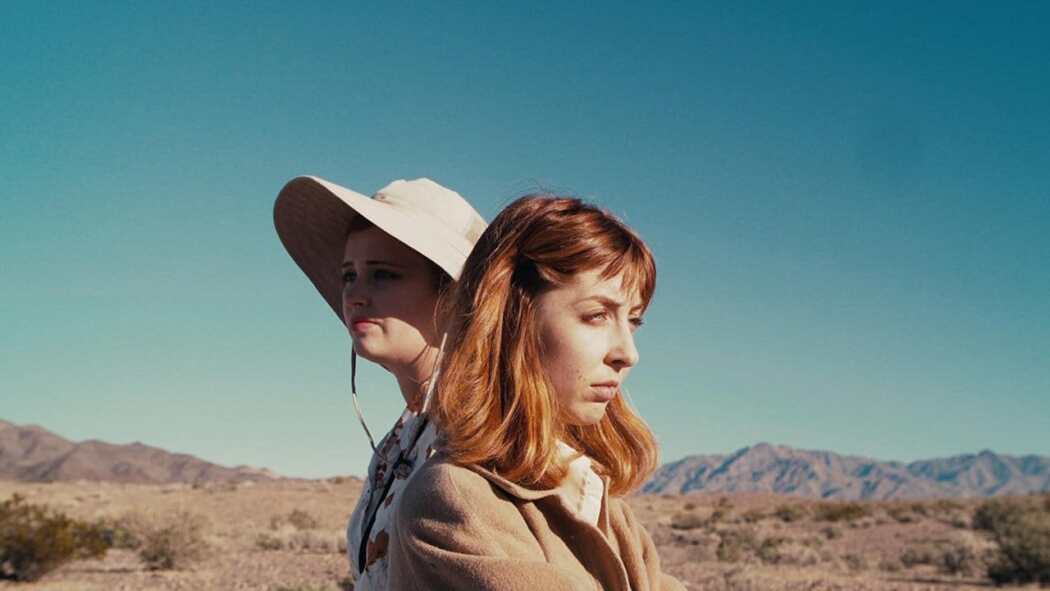 ჩიტები ბუმბულის გარეშე  ქართულად -  Birds without Feathers