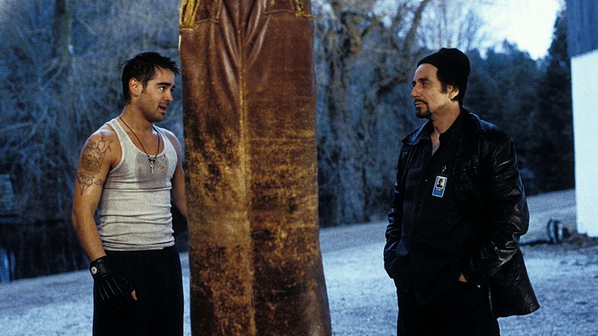 ახალბედა  ქართულად -  The Recruit