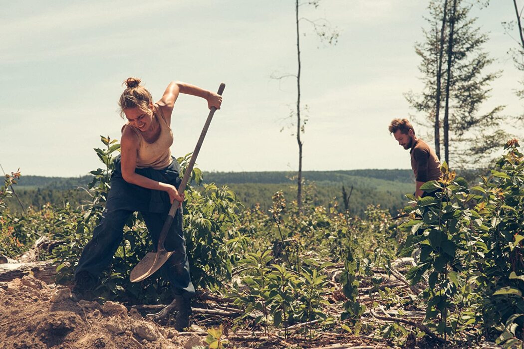 გადაგდებული  ქართულად -  The Discarded