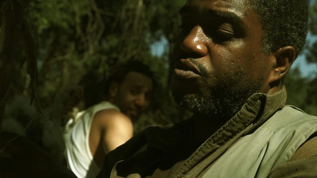 მხედრის სვლა  ქართულად -  A Knights Tour