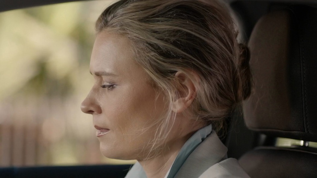 მზაკვრული ცდუნება  ქართულად -  Cruel Fixation