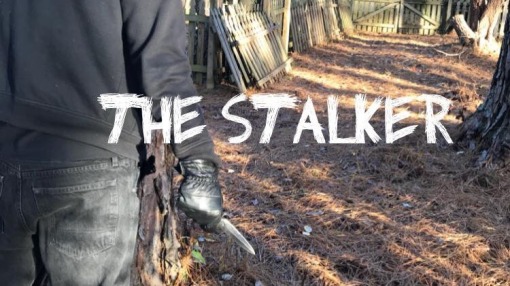 მდევარი  ქართულად -  The Stalker