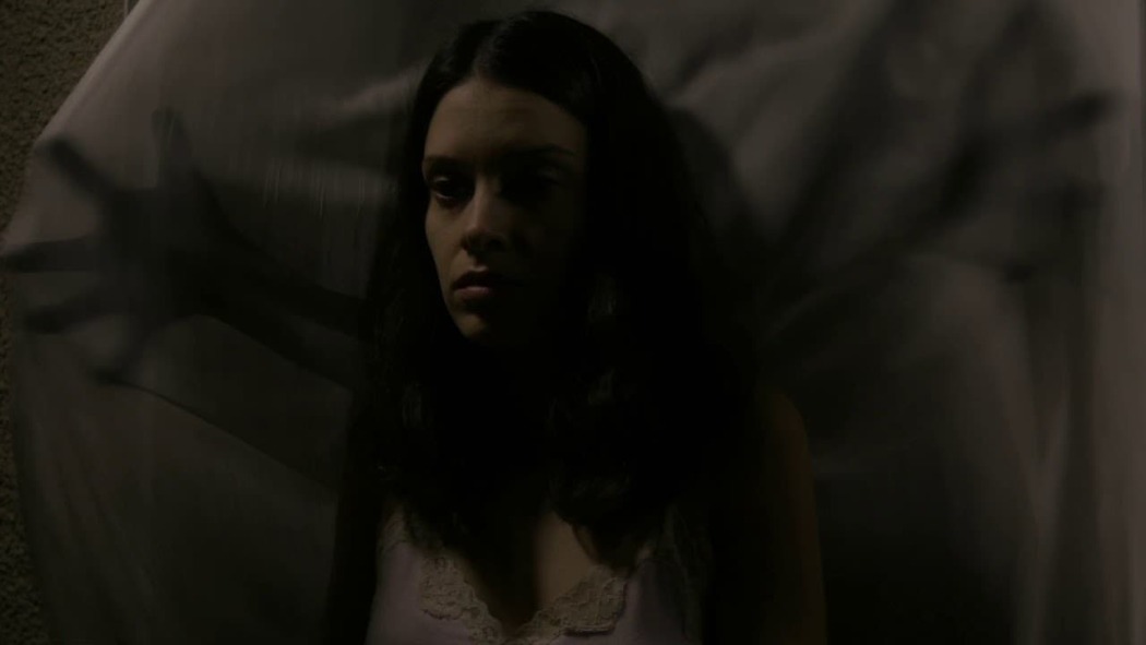 შიშის ექოები  ქართულად -  Echoes of Fear