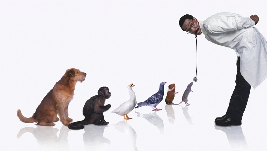 ექიმი დულიტლი  ქართულად -  Doctor Dolittle