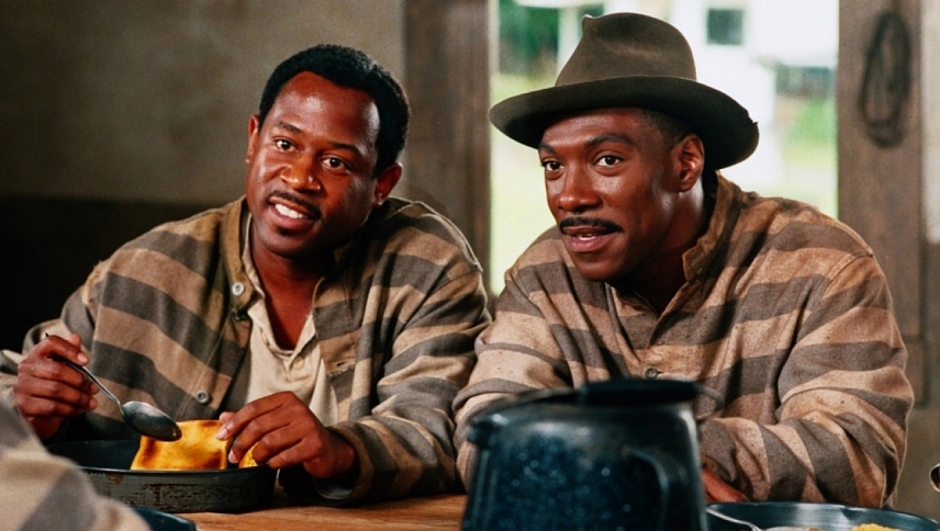 სამუდამო პატიმრობა  ქართულად -  Life