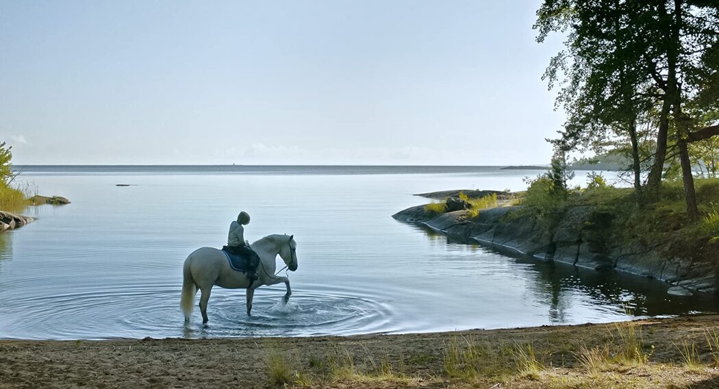 სანამ ზამთარი დადგება  ქართულად -  Innan vintern kommer
