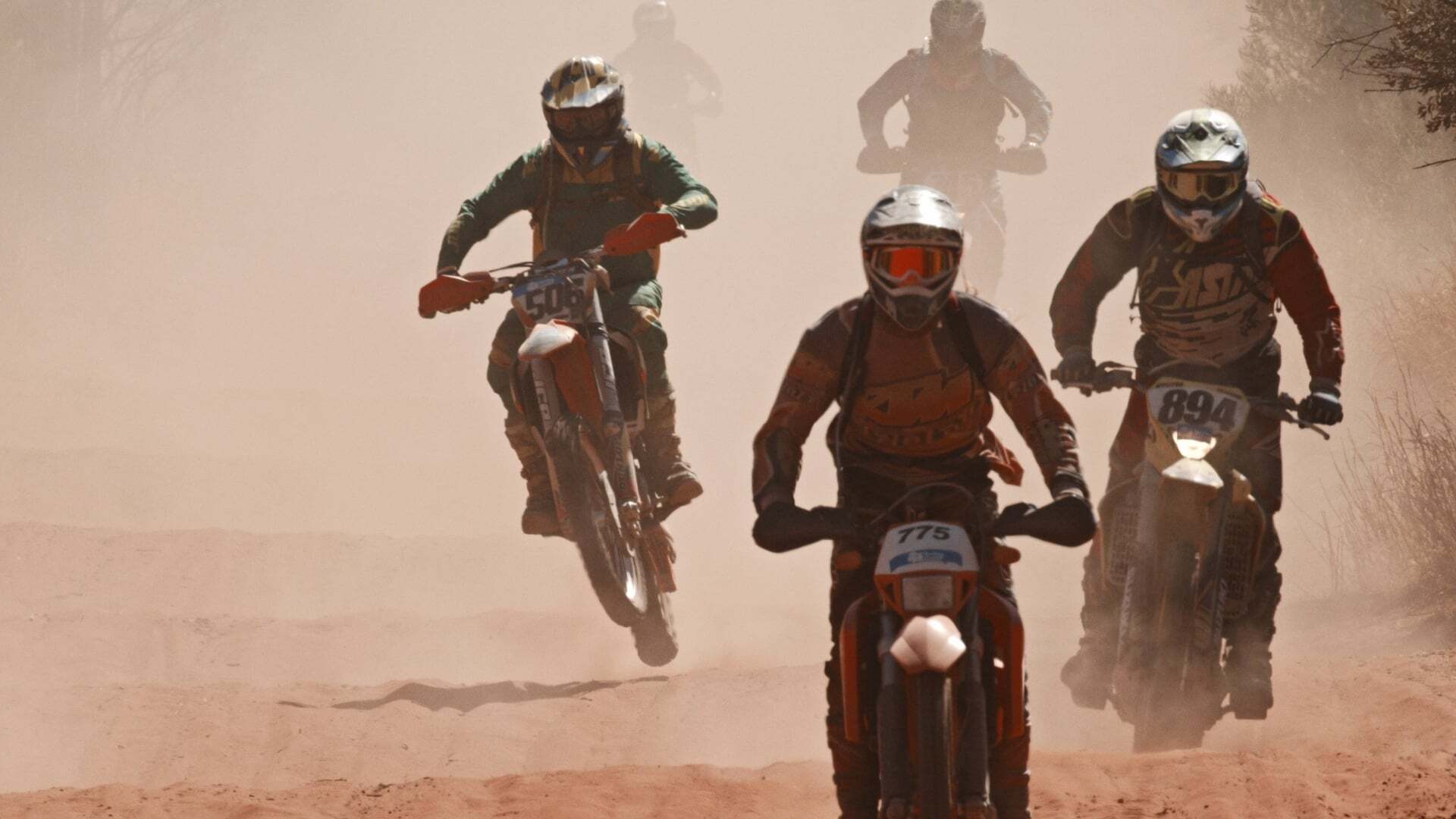 ფინკე: იქეთ და უკან  ქართულად -  Finke: There and Back