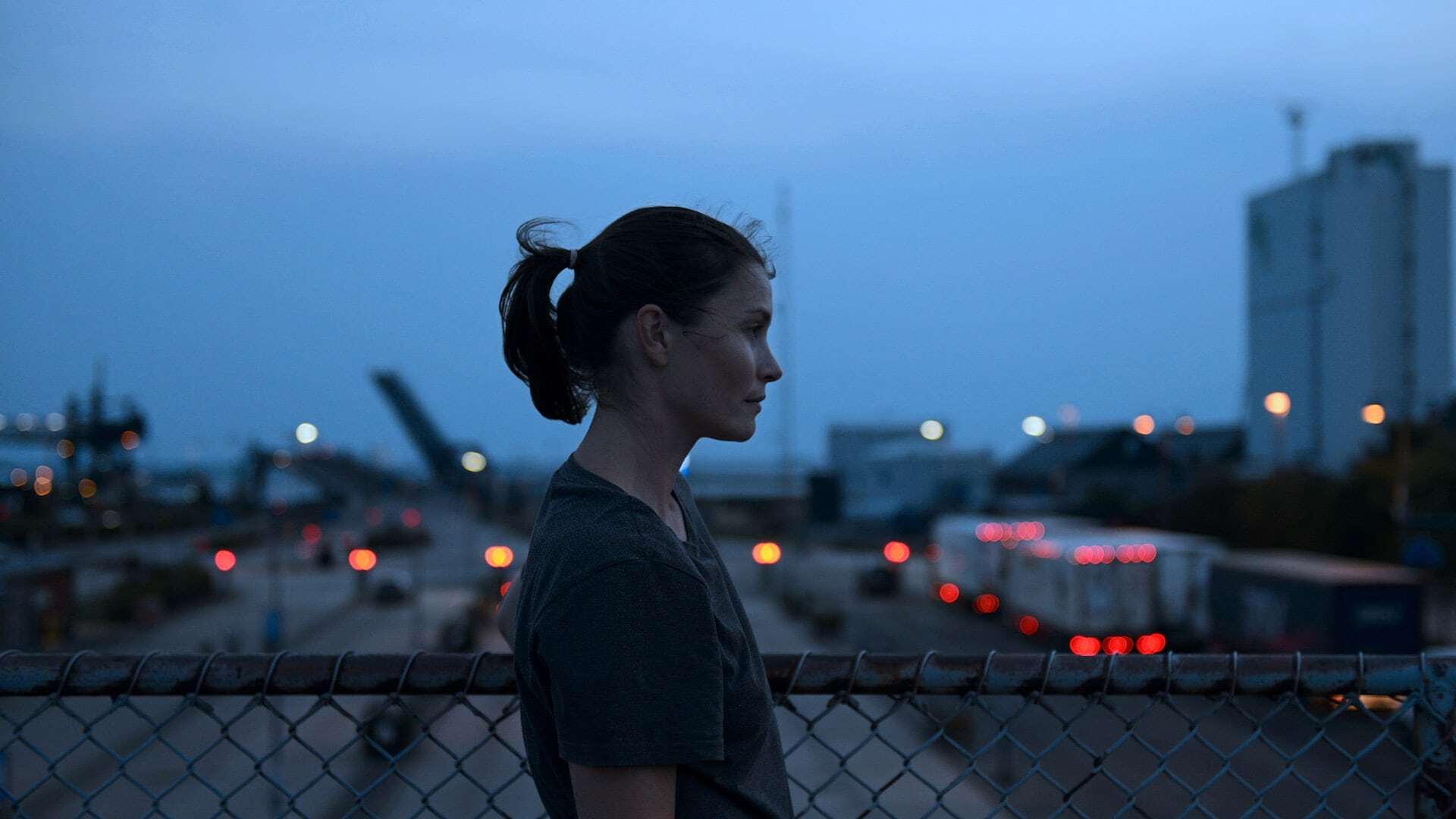 ჟირაფი  ქართულად -  Giraffe