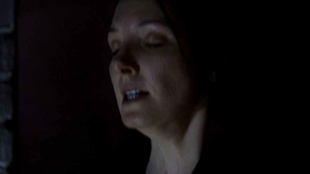 ქაღალდის კრაზანები  ქართულად -  Paper Wasps