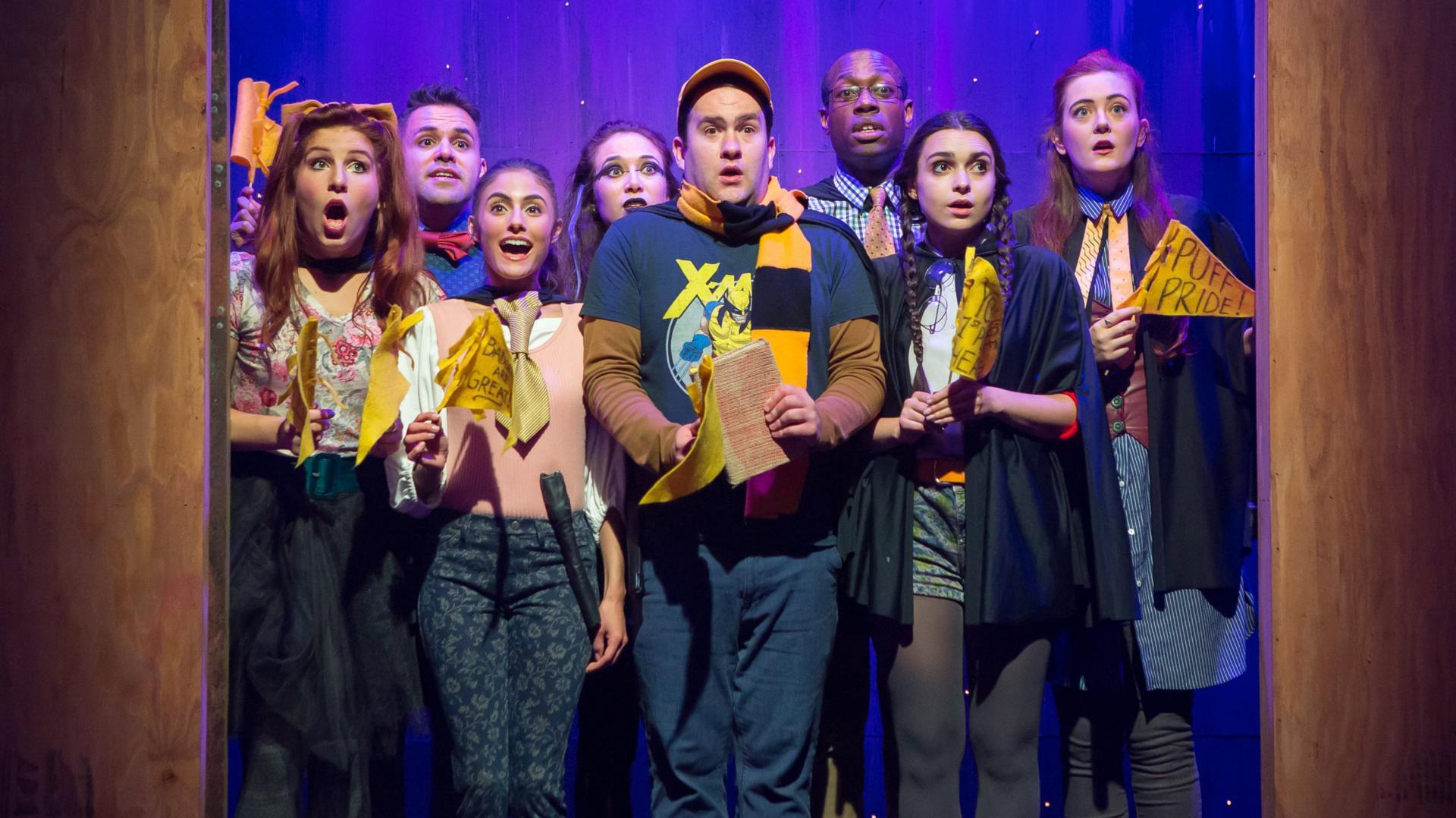 პაფსი: შვიდი წელი სკოლაში  ქართულად -  Puffs: Filmed Live Off Broadway