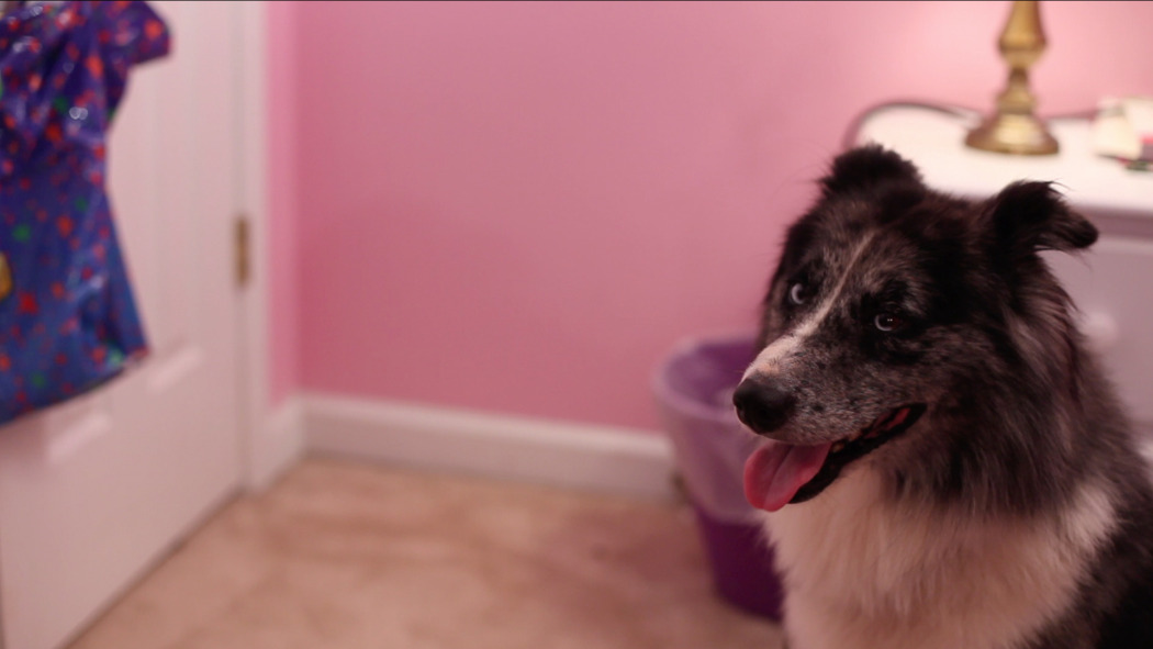 ალი და ობი  ქართულად -  Allie amp Obie