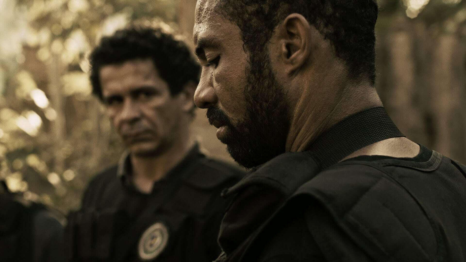 განყოფილება  ქართულად -  The Division