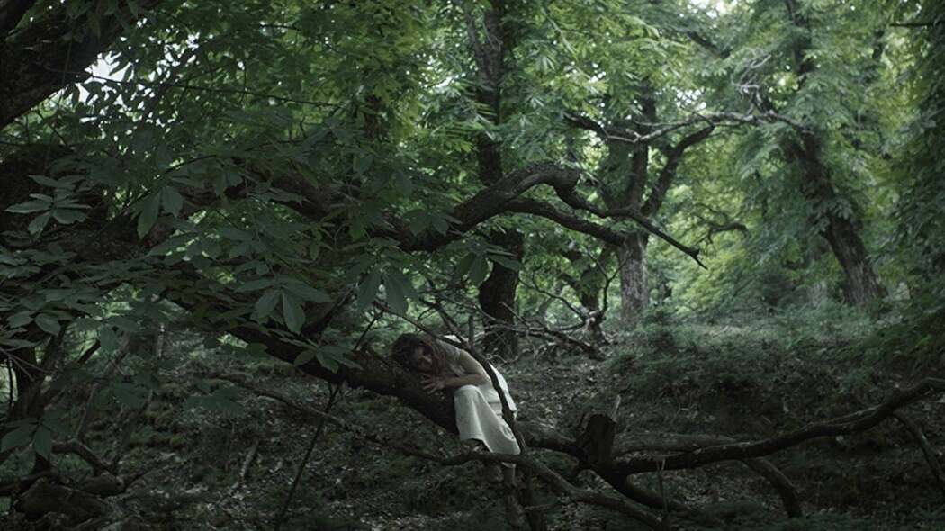 გადაჯაჭვულნი  ქართულად -  Entwined