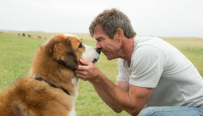 ძაღლური ცხოვრება / A Dog’s Purpose
