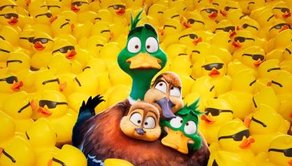 მიგრაცია  ქართულად -  Migration