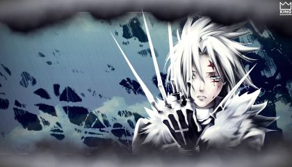 დი.გრეი-მენ / D.Gray-man