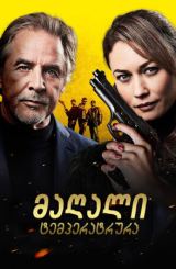 Მაღალი ტემპერატურა / High Heat