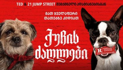 ქუჩის ძაღლები / Strays