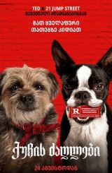 ქუჩის ძაღლები / Strays