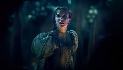 ქალიშვილი  ქართულად -  DAMSEL