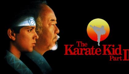 კარატისტი ბიჭუნა 2  ქართულად -  karatisti bichuna 2