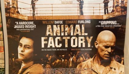 ცხოველების ფაბრიკა / Animal Factory