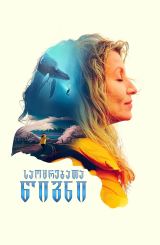 საოცრებათა წიგნი / The Book of Wonders (La chambre des merveilles)