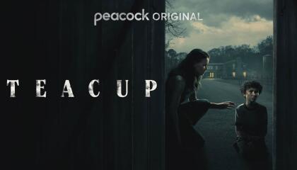 ჩაის ფინჯანი  ქართულად -  Teacup