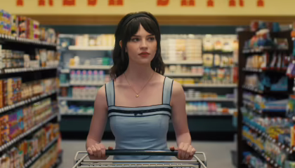 კომპანიონი  - Companion