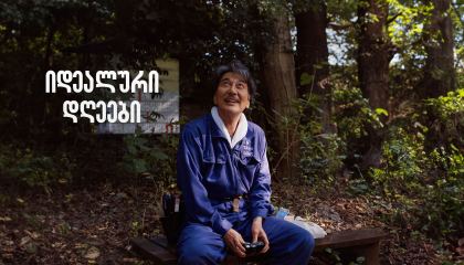 იდეალური დღეები / Perfect Days